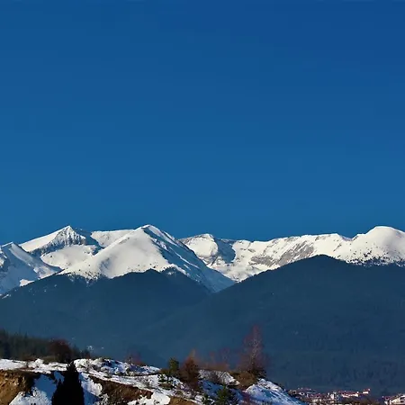 Cozy 1 Bedroom Self-catering Fully Equipped Flat In St Ivan Rilski With Free Services Apartment